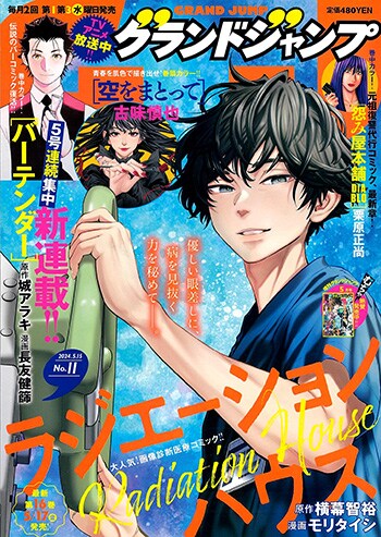 グランドジャンプ11号