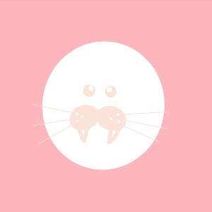 THUBUNOKIのプロフィール画像。