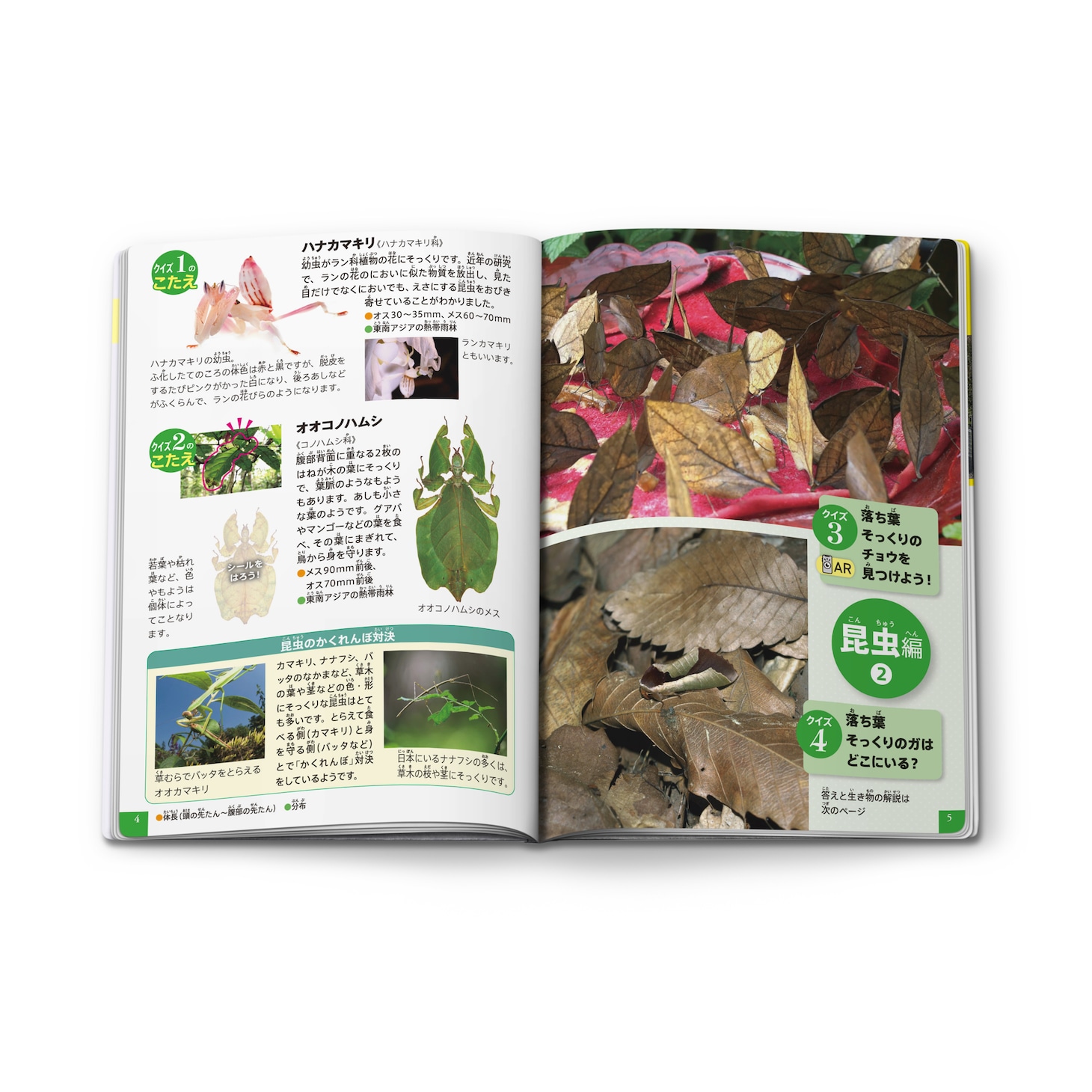 ミニ図鑑「生き物かくれんぼ AR動画＆クイズつき」(c)Shogakukan