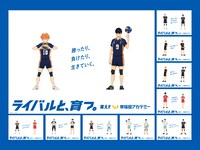 「ハイキュー!!」と早稲田アカデミーがコラボした交通広告の一覧。