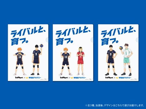 「ハイキュー!!」と早稲田アカデミーのコラボキャンペーンで当たるクリアファイル。