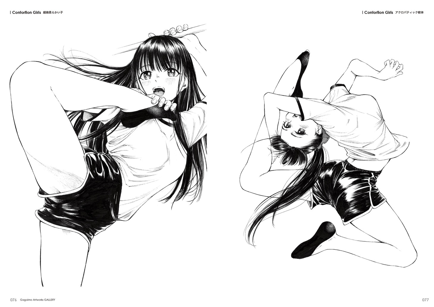 「ガガイモ画集」より。