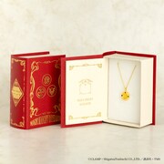 商品は専用のブック型ボックスに収められて届く。