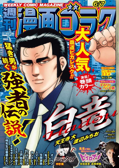 週刊漫画ゴラク6月7日号
