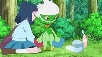 TVアニメ「ポケットモンスター」第53話「ミブリムとこの世ならざるもの」より。