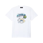 「Tシャツ ACCENT」