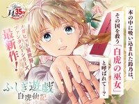 「ふしぎ遊戯 白虎仙記」のバナー。