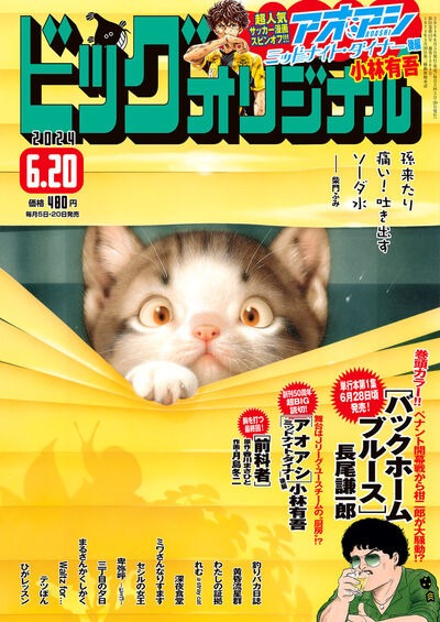 ビッグコミックオリジナル12号