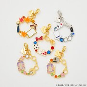 5種類のチャーム。