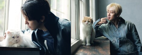 綴じ込み付録「SUPER JUNIOR-D&E  SPECIAL PHOTO CARD」より。撮影は伊藤彰紀（aosora）。