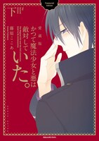 「かつて魔法少女と悪は敵対していた。」愛蔵版下巻