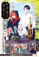 「死の森の魔女は愛を知らない」