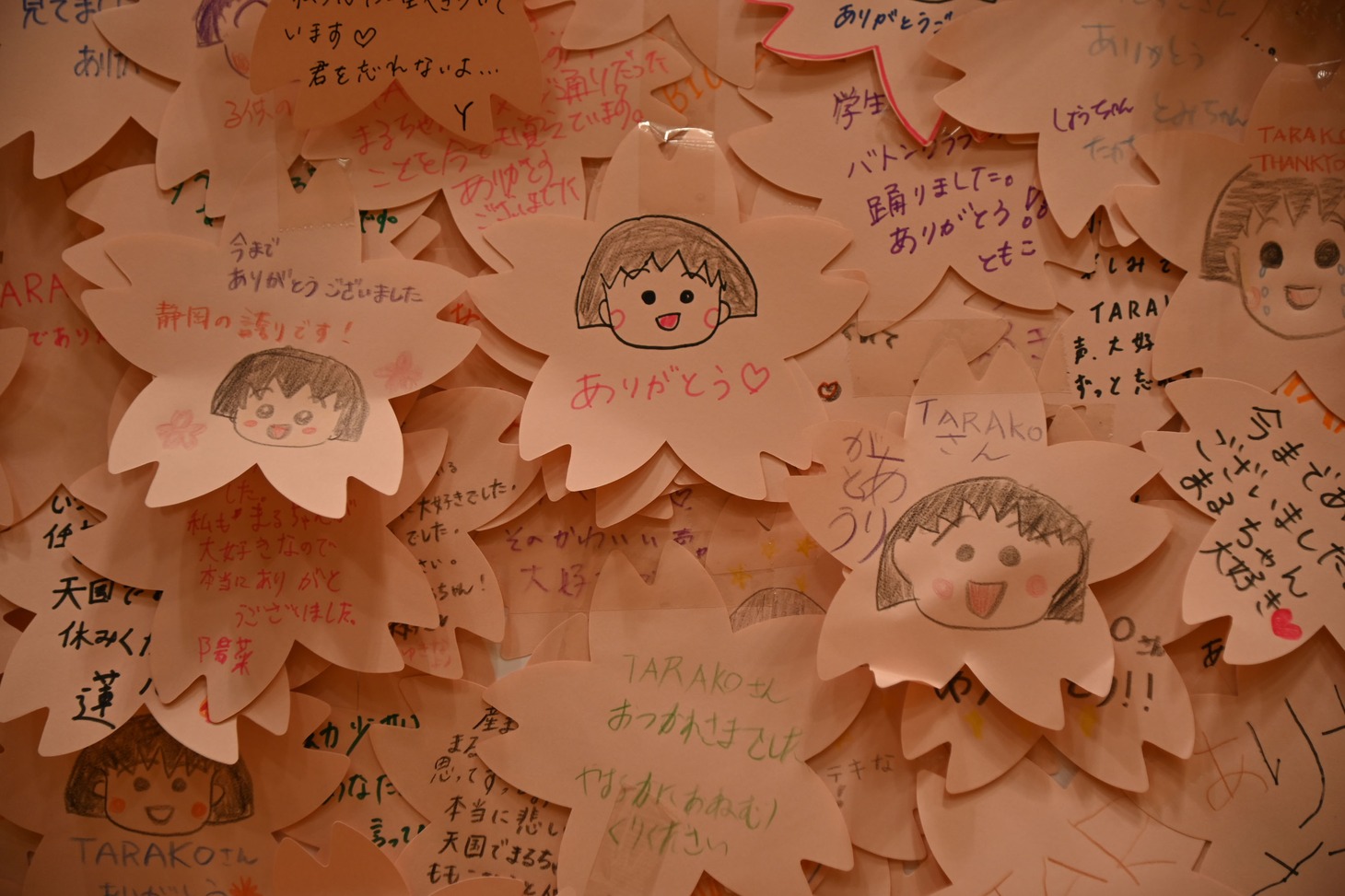 会場の様子。