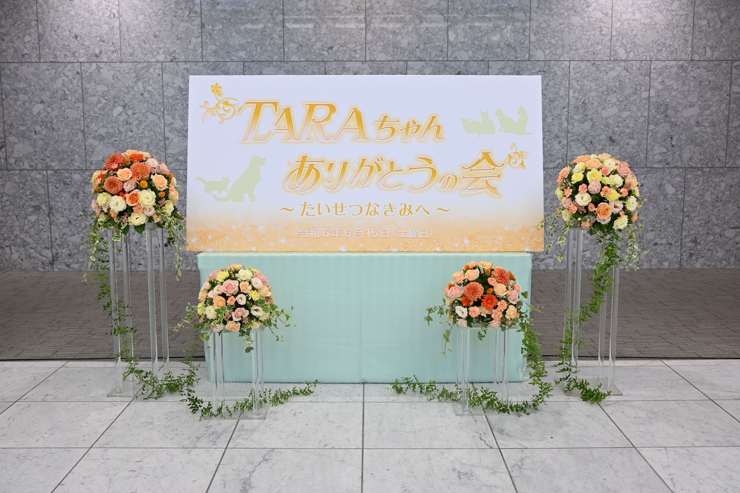 会場の様子。