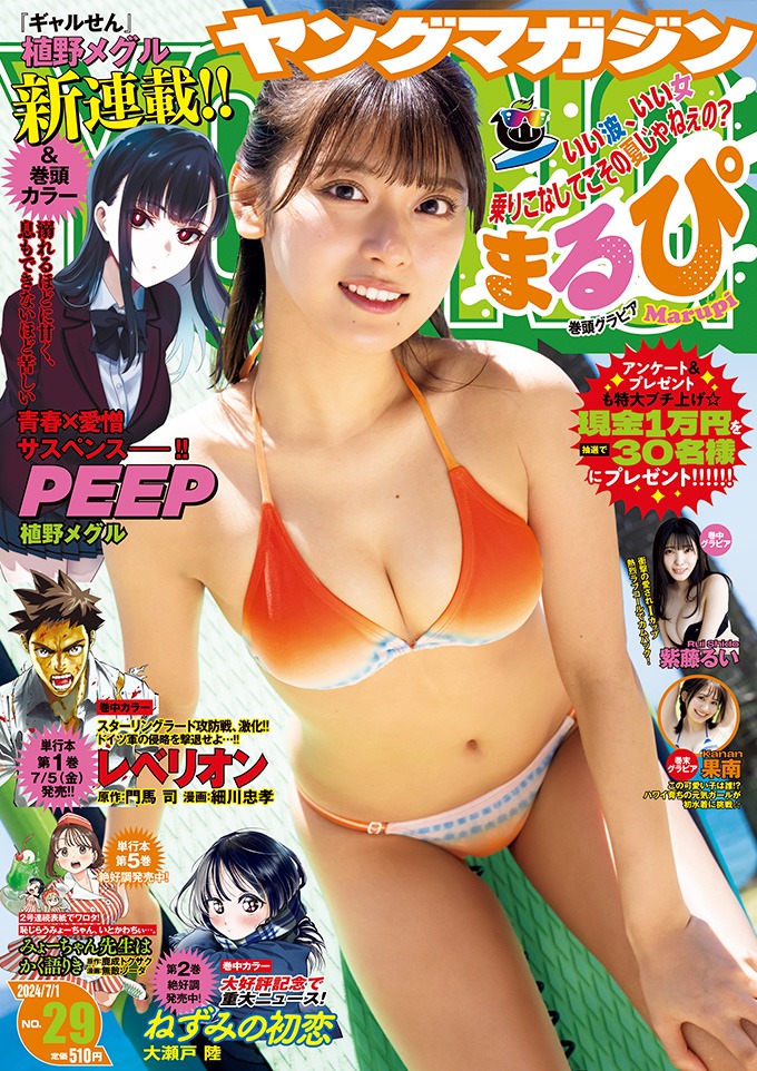 ヤングマガジン29号