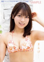 漫画アクション13号の付録となるクリアファイル（表）。