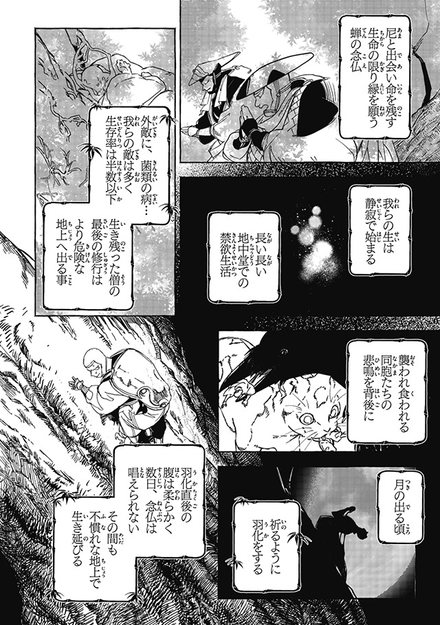 「蝉法師 訳アリ坊主三人衆、嫁探しの珍道中」より。