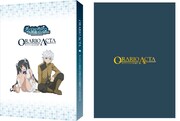 「『ダンジョンに出会いを求めるのは間違っているだろうか』ORARIO ACTA　【オラリオ公式記録】」の 三方背収納BOX・表紙イメージ。