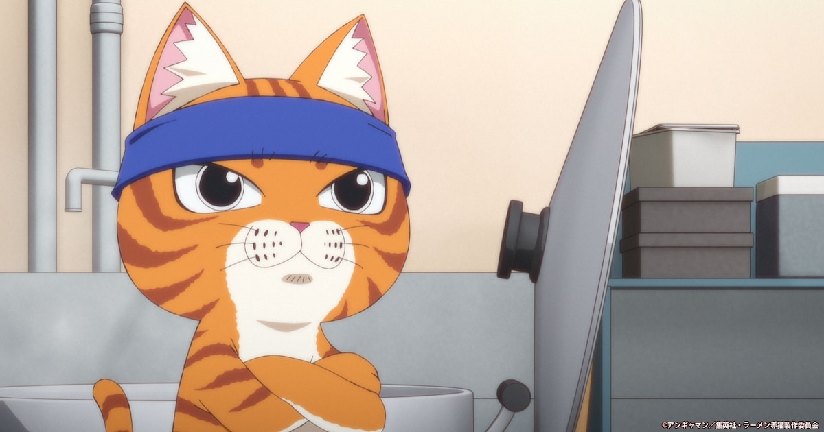 ☆ニャン吉さま専用☆ 分厚