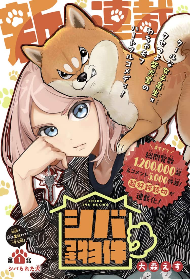 1LDK、家賃4800円の理由はクセ強な柴犬霊？ハートフルコメディ「シバ 