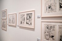 「CLAMP展」より「ADVENTURE」のエリア。