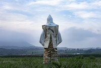 ドラマ「七夕の国」第1話より。