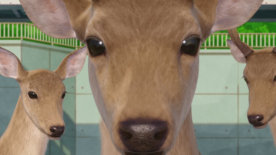 アニメ「しかのこのこのここしたんたん」場面カットに鹿3匹・鹿乃子のこ・虎視虎子