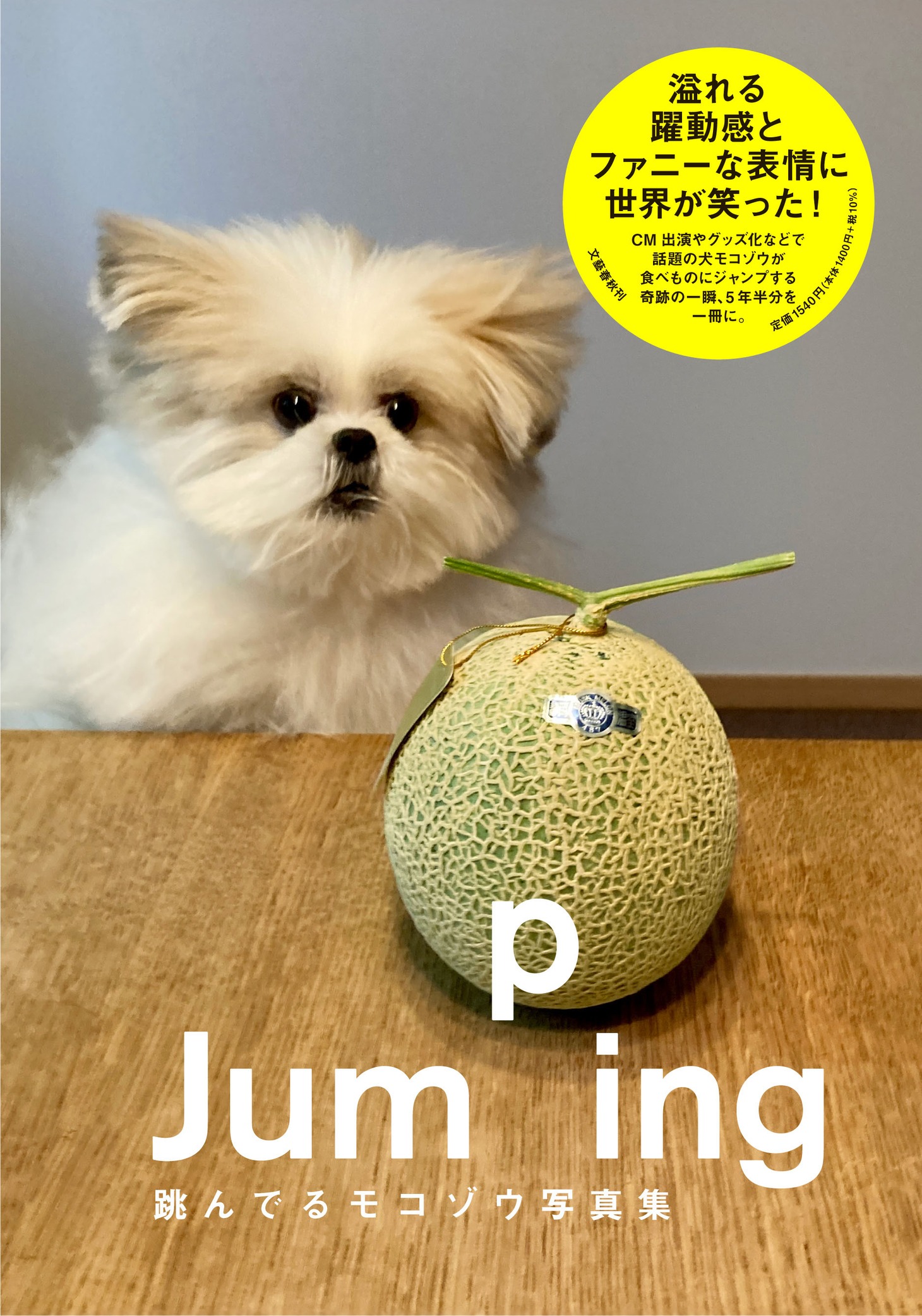 「Jumping 跳んでるモコゾウ写真集」（帯付き）
