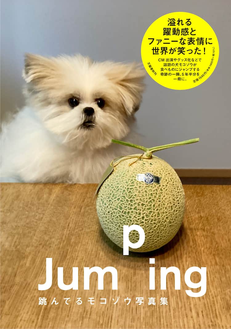 モコゾウ、美味しそうな食べ物を見たいがために全力ジャンプ その写真  