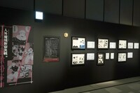 「領域之参 連載原稿 総力解説」より。 (c)芥見下々／集英社