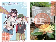 「僕の心のヤバイやつ」と勝林寺のコラボによる見開き御朱印のデザイン。