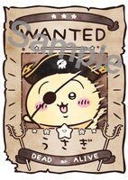 デジタルスタンプラリーでもらえる手配書画像。