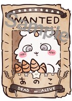 デジタルスタンプラリーでもらえる手配書画像。