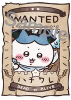 デジタルスタンプラリーでもらえる手配書画像。