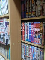 V林田氏の本棚の一部。