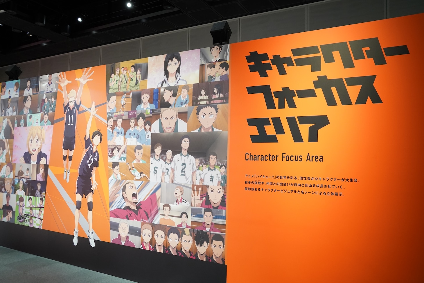 「キャラクターフォーカスエリア」