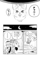 「赤紙がきた猫」より。
