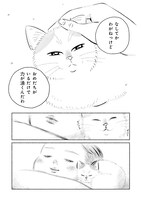 「赤紙がきた猫」より。