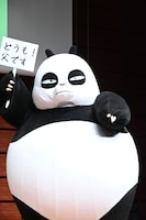 玄馬パンダの着ぐるみ