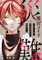 「後宮メイドの災難～人使いの荒い宮廷書記官と推理する～」(c)大野ちた・永井青/CLLENN