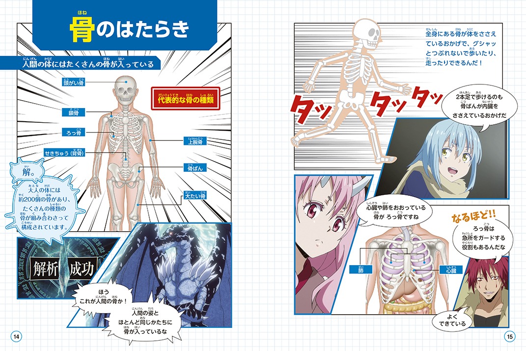 「転生したらスライムだった件で学べるBOOK 人体」より。