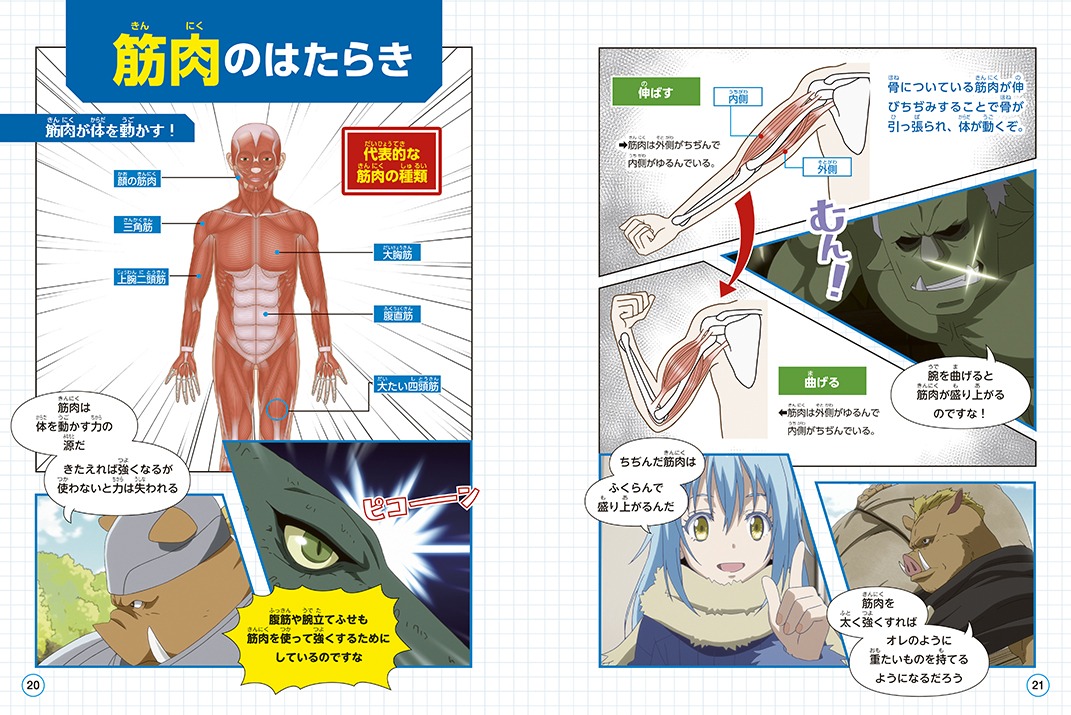 「転生したらスライムだった件で学べるBOOK 人体」より。