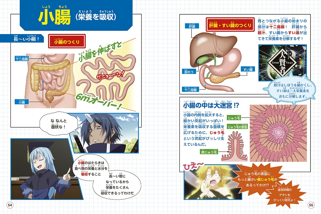「転生したらスライムだった件で学べるBOOK 人体」より。