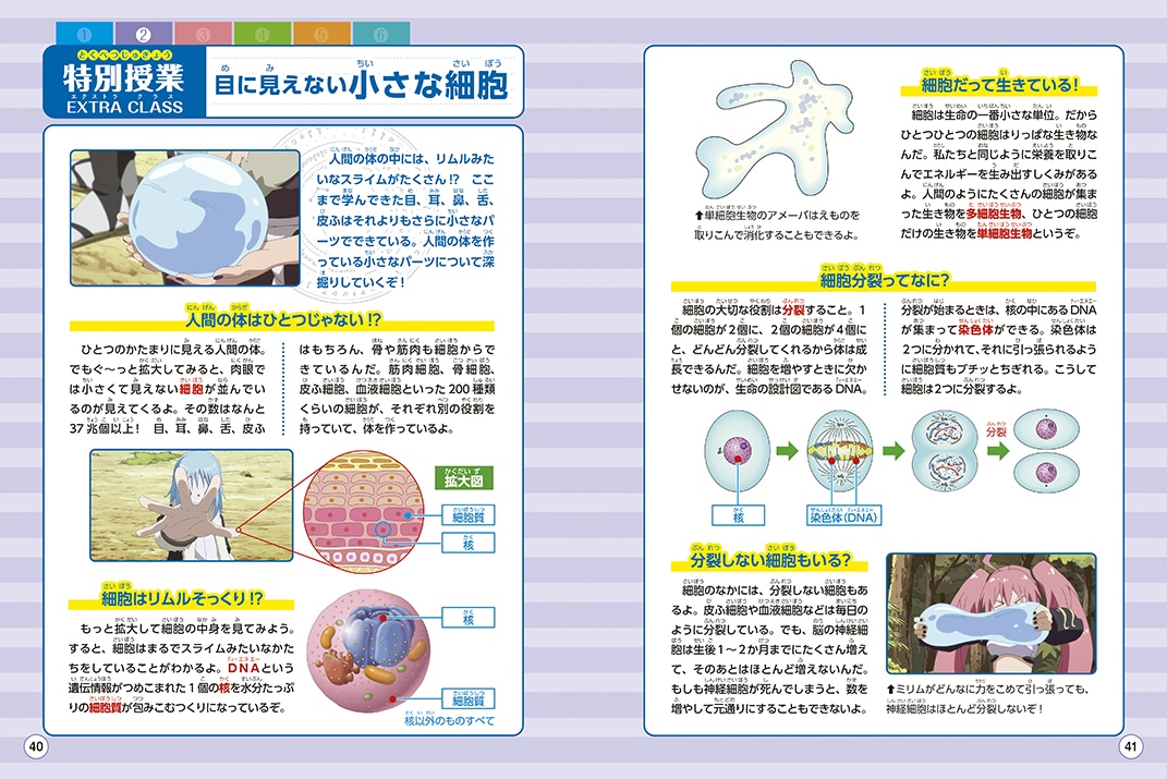 「転生したらスライムだった件で学べるBOOK 人体」より。