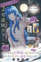 「シンデレラの義理姉に転生したけどふたりの王子に溺愛されています」扉ページ