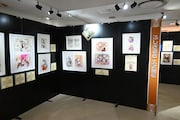 「~画業35周年記念~渡瀬悠宇の世界『ふしぎ遊戯』原画展」の様子。(c)渡瀬悠宇/小学館
