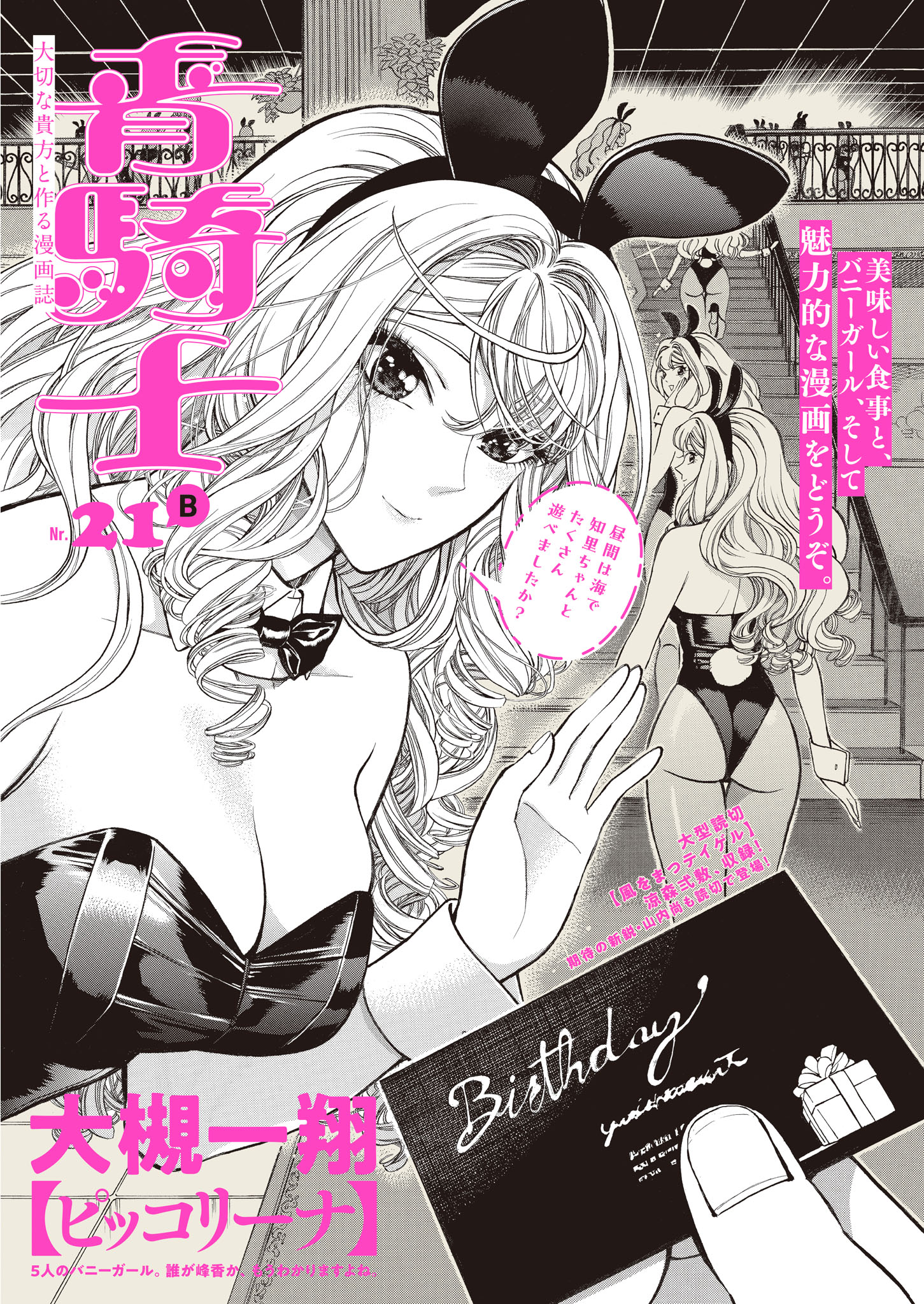 青騎士21B号