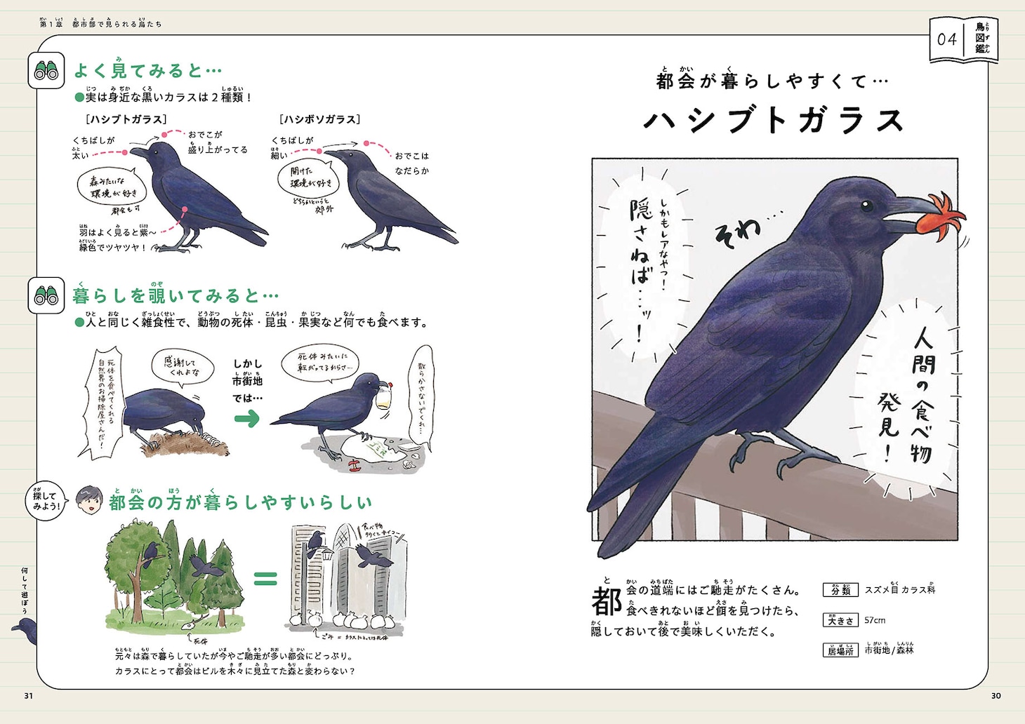 「意外と知らない鳥の生活」より。