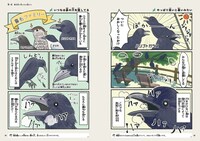 「意外と知らない鳥の生活」より。