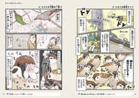 「意外と知らない鳥の生活」より。